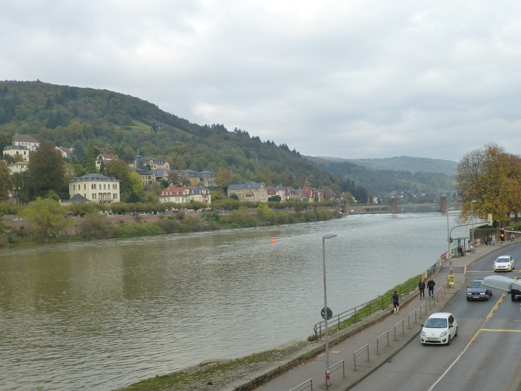 Neckar mit Heidelberg