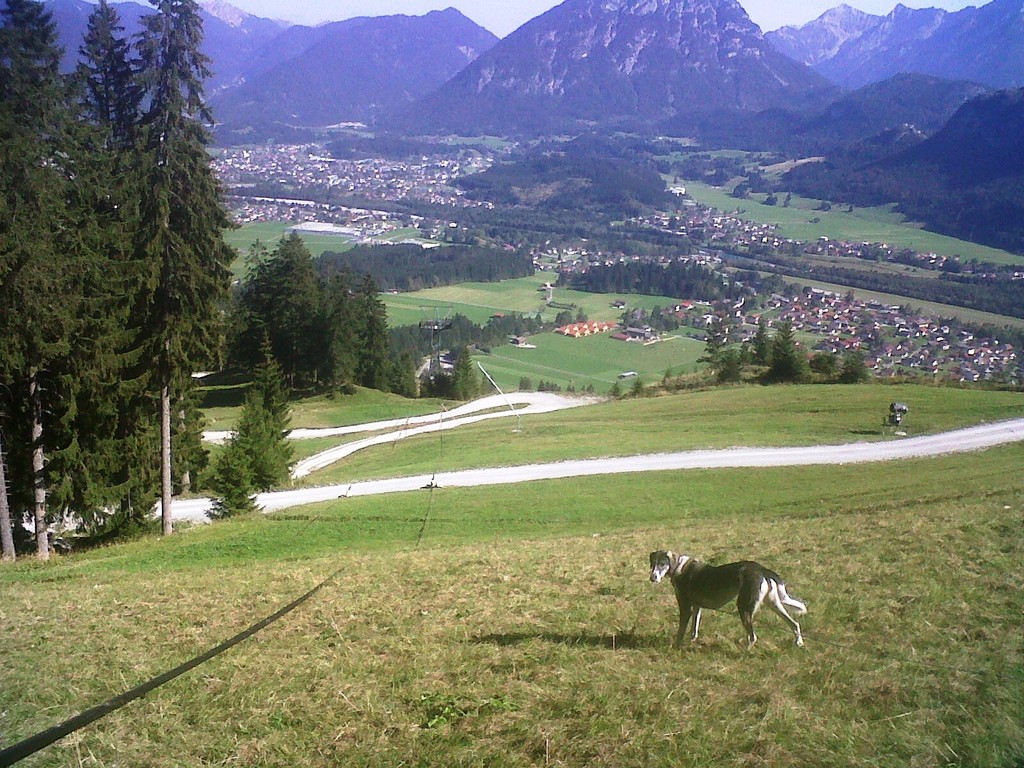 Blick in Richtung Reutte