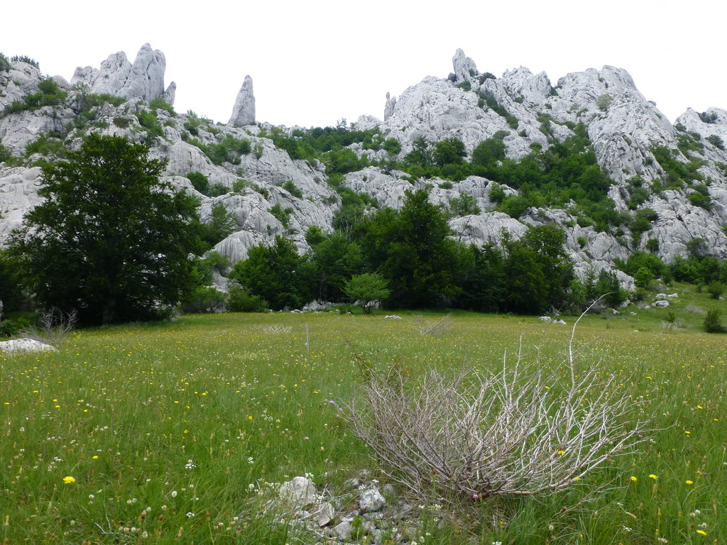 Blick zurück wo wir herkamen