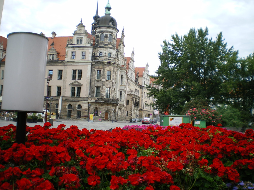 Dresden einer meiner Traumstädte