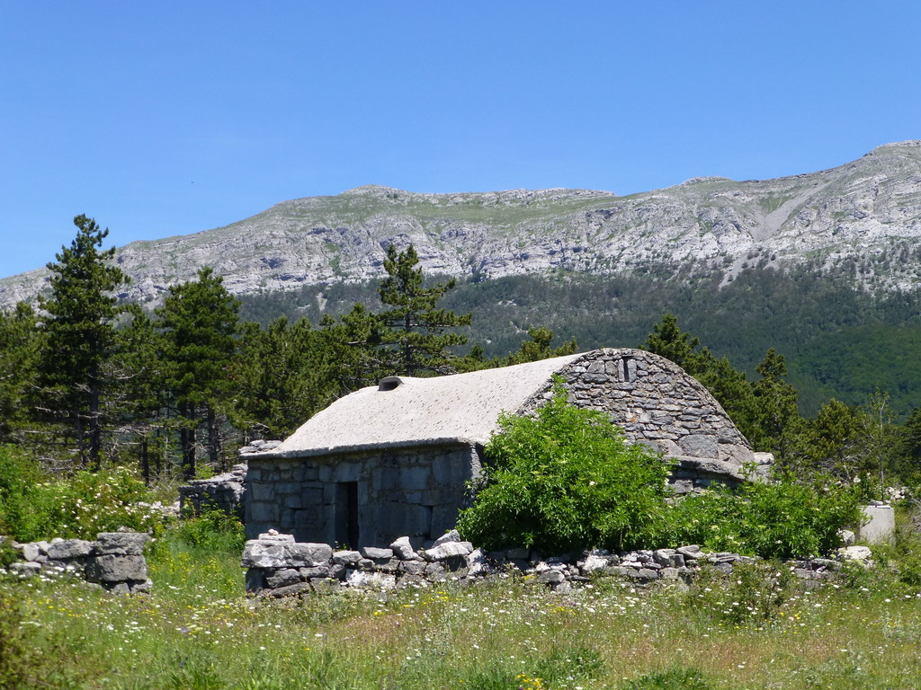 Velica Ruina