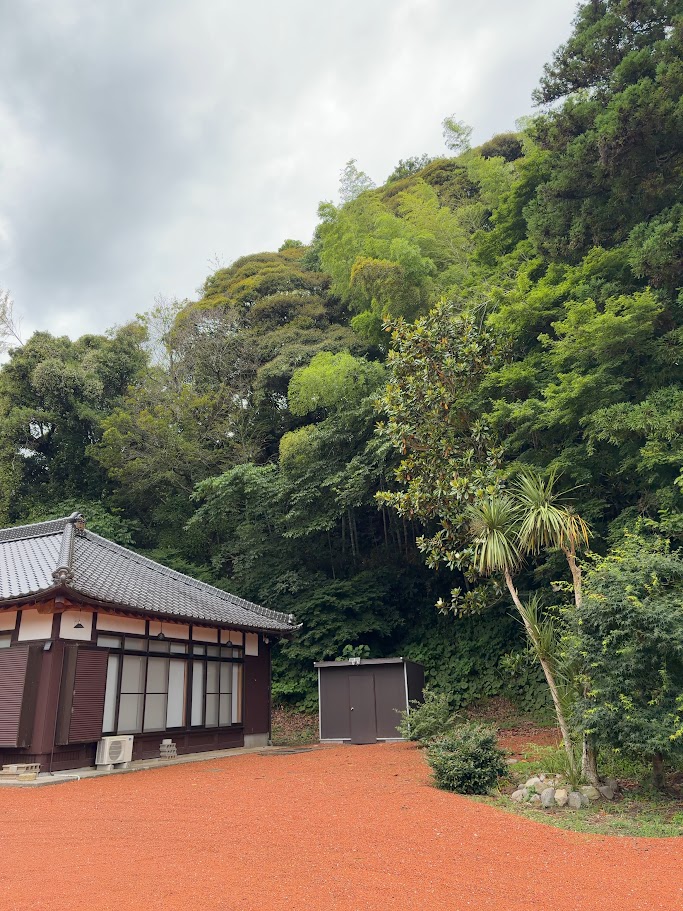 香取「薬医門の宿」の裏山