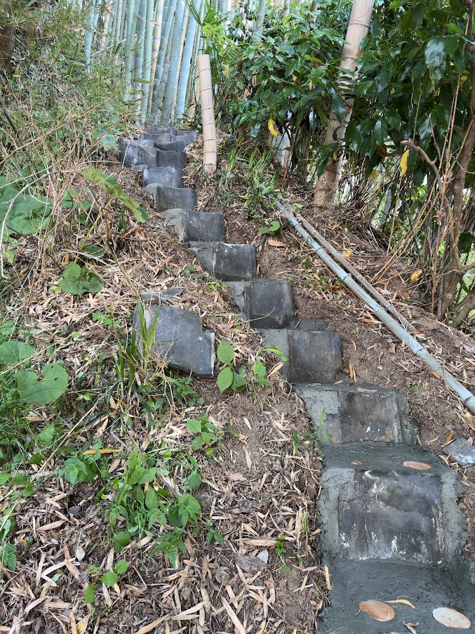 香取「薬医門の宿」だより