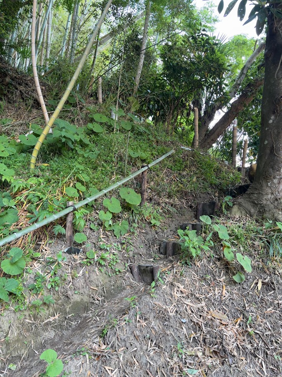 香取「薬医門の宿」の裏山登り口