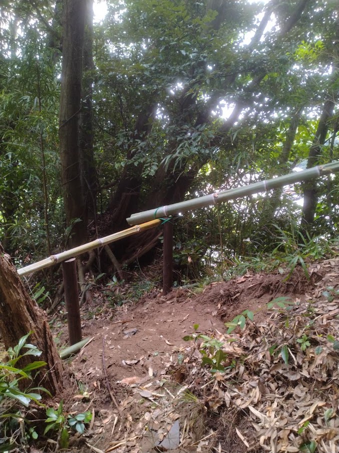 香取「薬医門の宿」の裏山の山道
