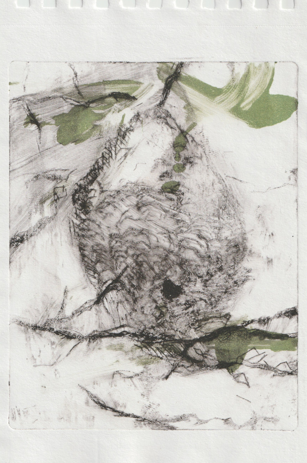 Black Wasps' Nest, 2024, Druck, Motiv 17,5cm x 13,8cm