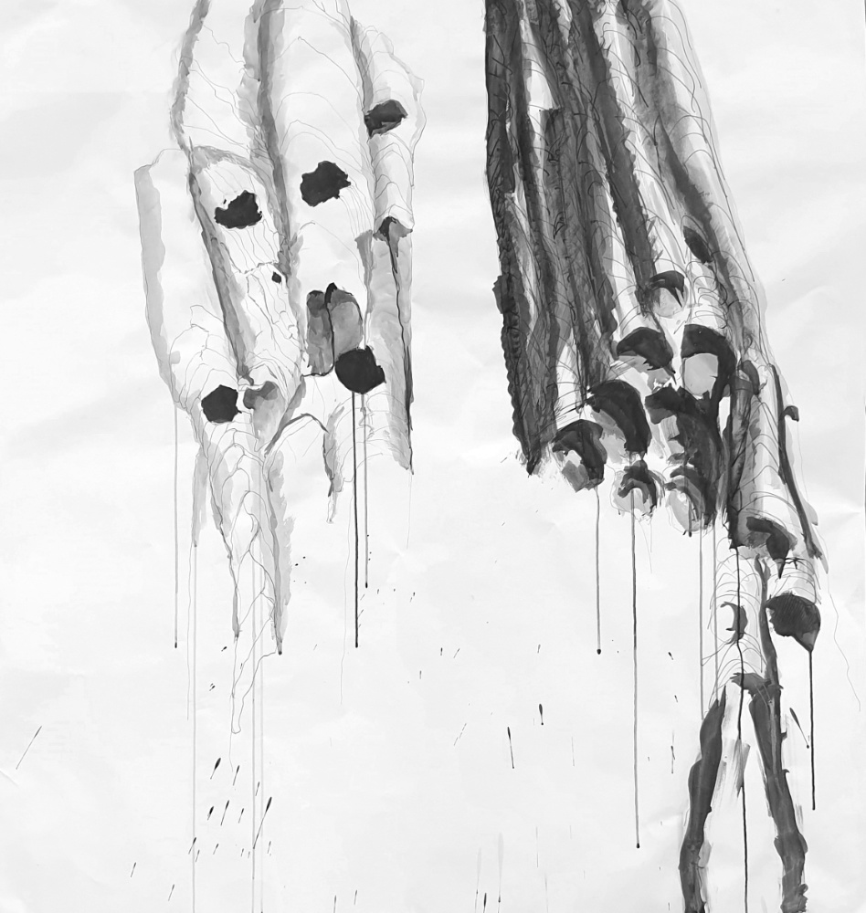 Black Wasps' Nest, 2024, Graphit/Ink/Paper, 114cm x 107cm