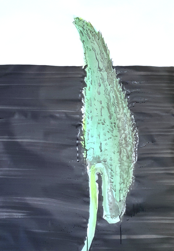 Milkweed, 2024, Ink/Acryl/Paper, 107cm x 76cm