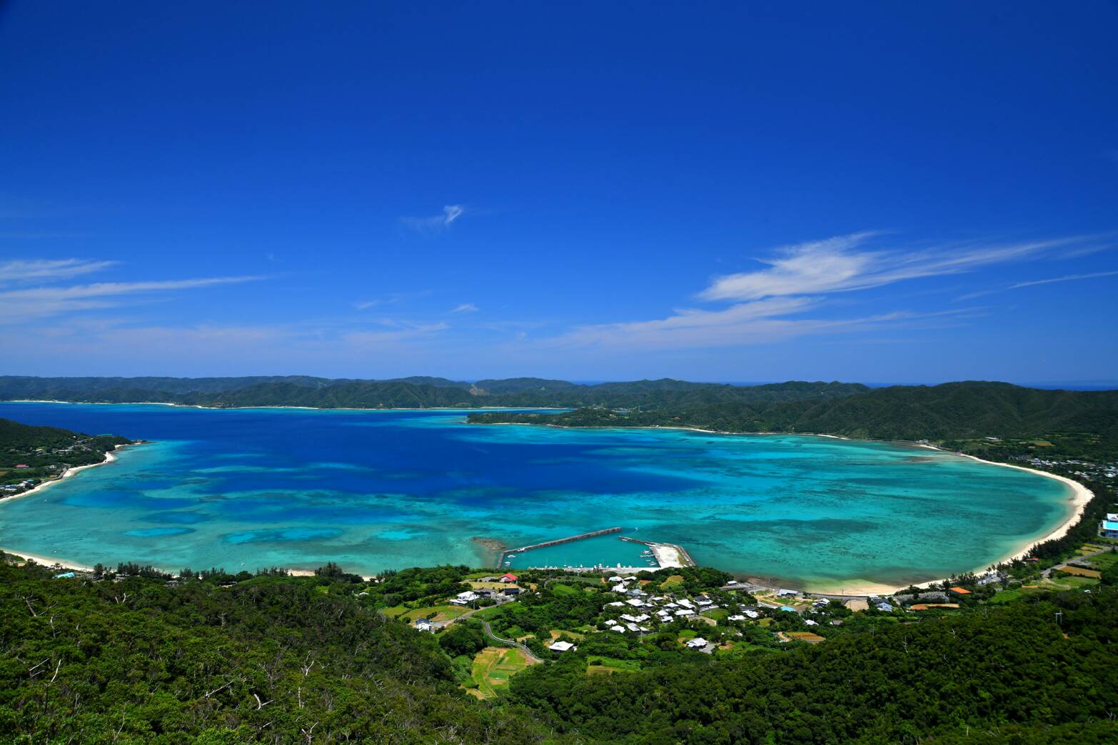 鮮魚 奄美近海産 伊勢海老 鮮魚 夜光貝 トビンニャ 海ぶどうの販売
