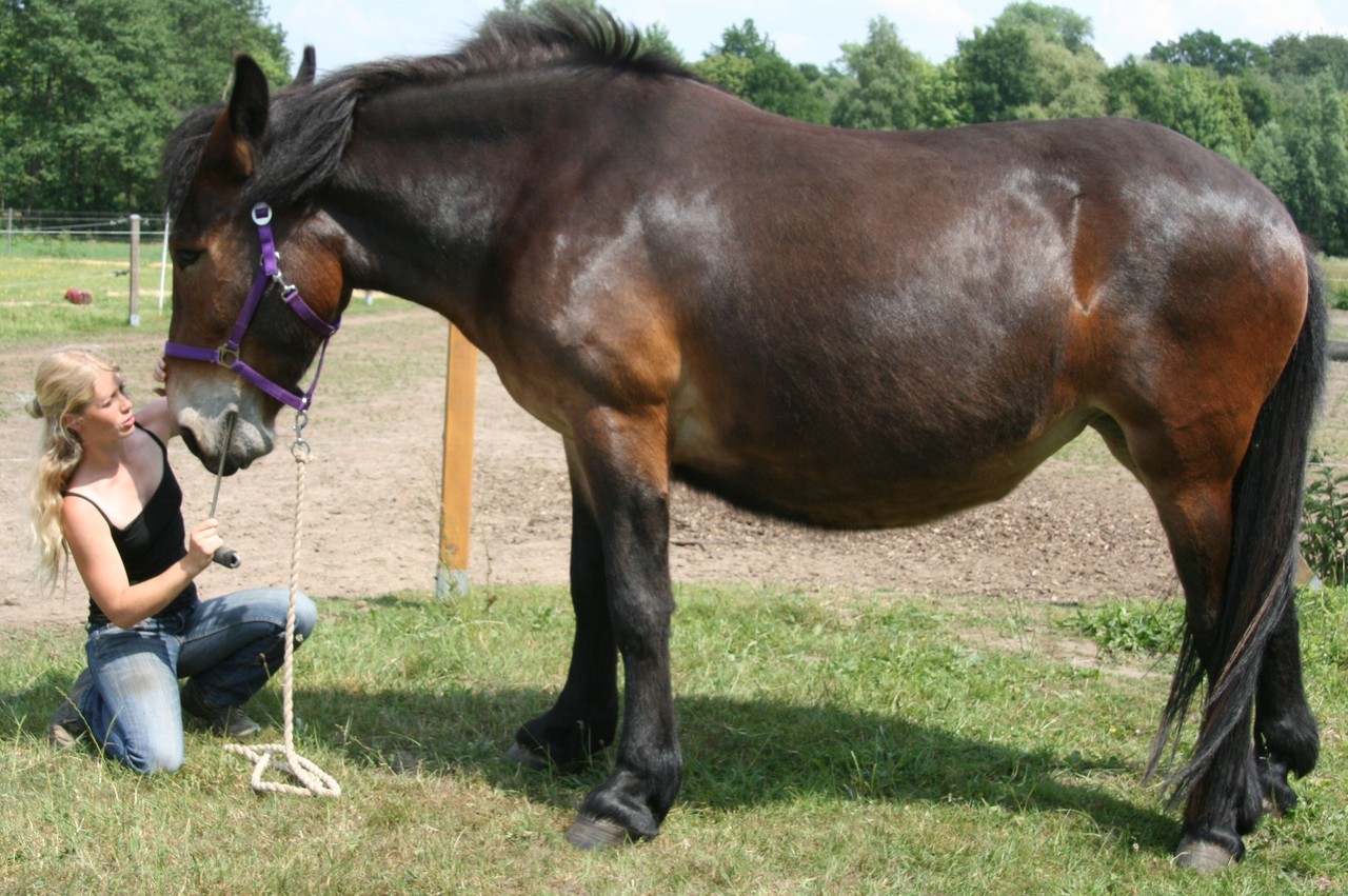Behandlung wie oft - rebecca-pflugs Webseite!