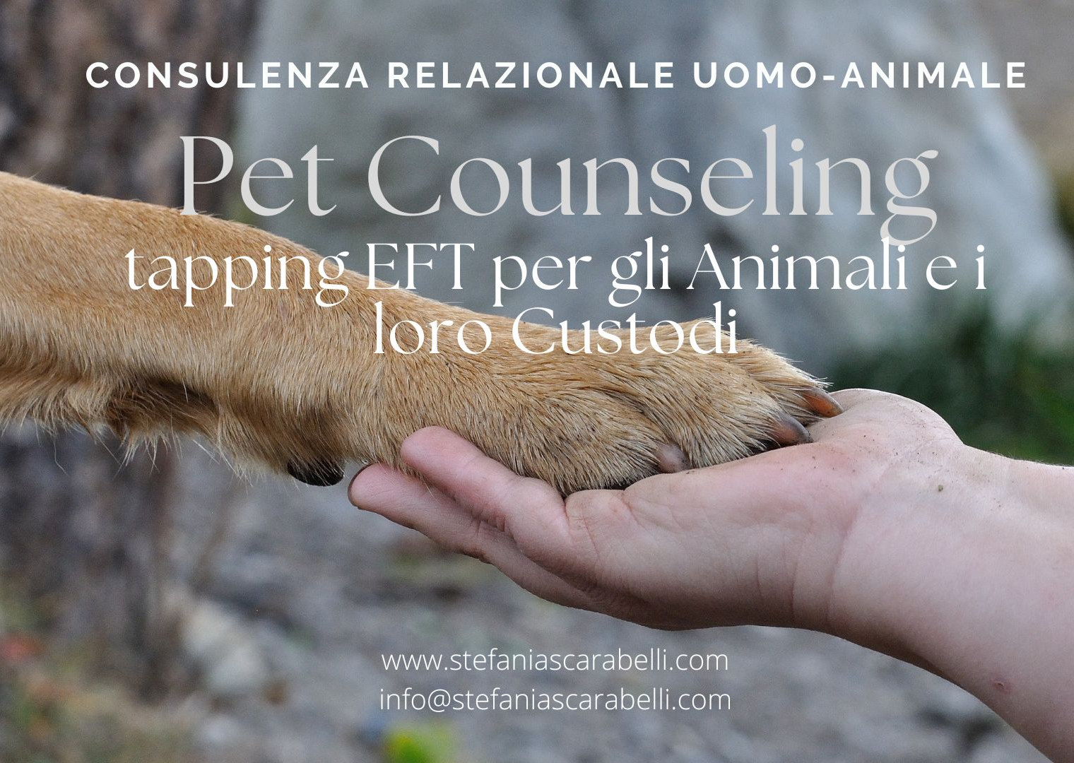 Pet Counseling