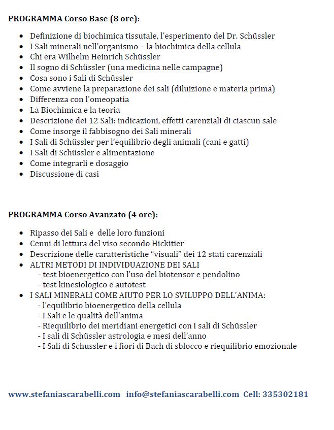 Programma corso Sali di Schussler