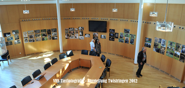 VHS Twistringen - Tierfotografie - Hannover Zoo 2012 - Fotoausstellung im Rathhaus