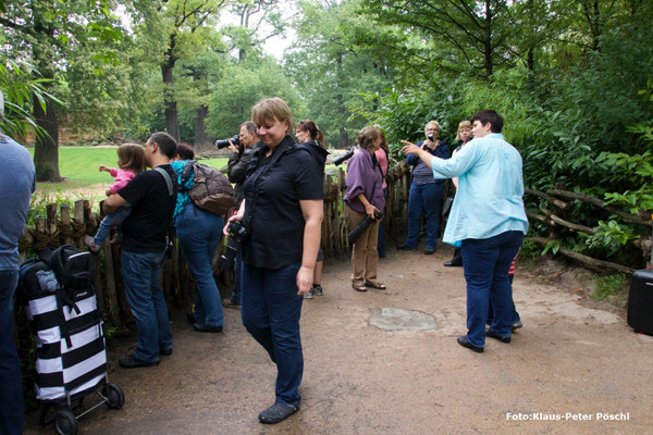 VHS Foto Workshop - Hannover Zoo - 26.07.2014. Leitung Linda Peinemann