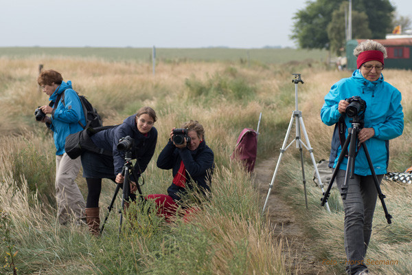 Workshop "Küstenfotografie - Dangast 09/2014" Bilder von Teilnehmer - Horst Seemann