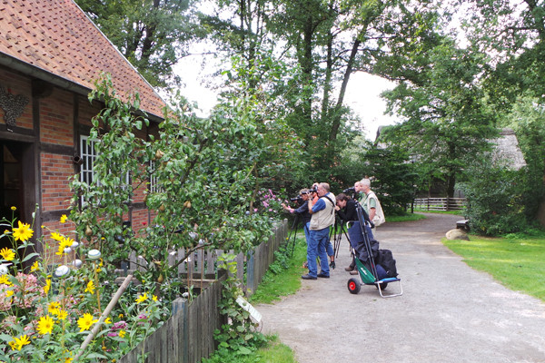 Workshop Museumsdorf Cloppenburg" 09.08.2014 Leitung Linda Peinemann