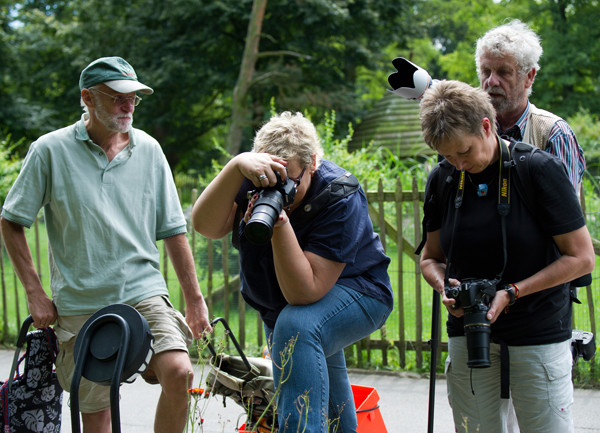 VHS Workshop "Tierfotografie für Fortgeschrittene" 12.07.2014  - Leitung Linda Peinemann