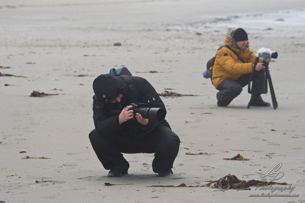 Fotoreise Helgoland - Januar 2015 / Foto: Linda Peinemann