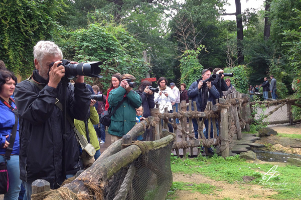 VHS Twistringen - Tierfotografie - Hannover Zoo 2012