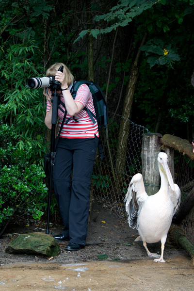 VHS Foto Workshop - Hannover Zoo - 26.07.2014. Leitung Linda Peinemann