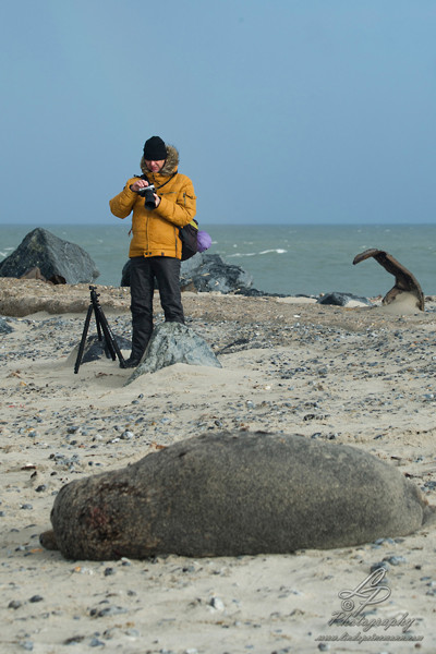 Fotoreise Helgoland - Januar 2015 / Foto: Linda Peinemann