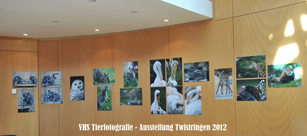 VHS Twistringen - Tierfotografie - Hannover Zoo 2012 - Fotoausstellung im Rathhaus