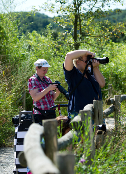 VHS Workshop "Tierfotografie für Fortgeschrittene" 12.07.2014  - Leitung Linda Peinemann