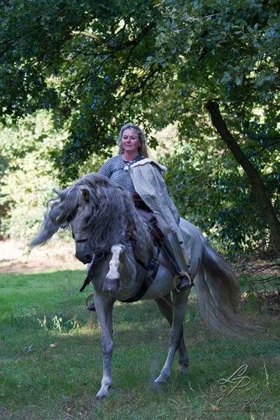 Spansicher Schritt - Astrid Engelbart" Pferdefotografie - Pferdemuseum Verden 09/2014 Leitung & Fotografie Linda Peinemann