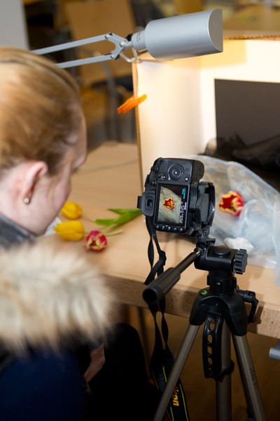 VHS Bruchhausen Vilsen - Postkarten Fotos/Makrofotografie für Einsteiger 08.02.2014