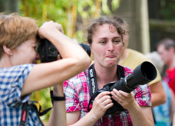 VHS Workshop "Tierfotografie für Fortgeschrittene" 12.07.2014  - Leitung Linda Peinemann