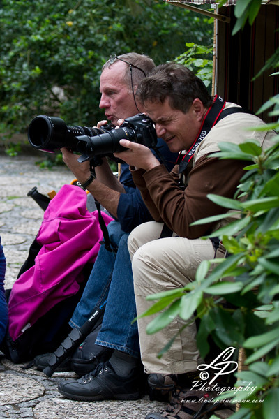 VHS Twistringen Workshop / Vogelpark Walsrode Juni 2014