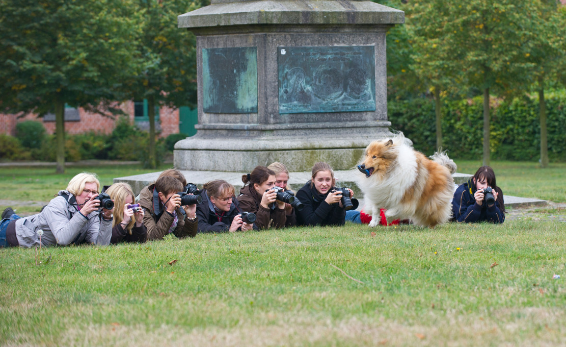 Workshop - Pferdemuseum Verden - Hundefotografie