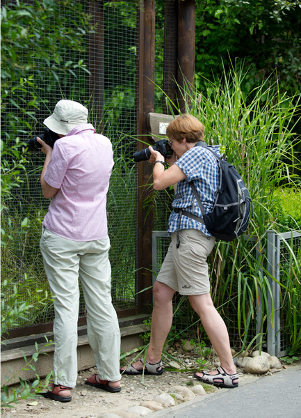 VHS Workshop "Tierfotografie für Fortgeschrittene" 12.07.2014  - Leitung Linda Peinemann