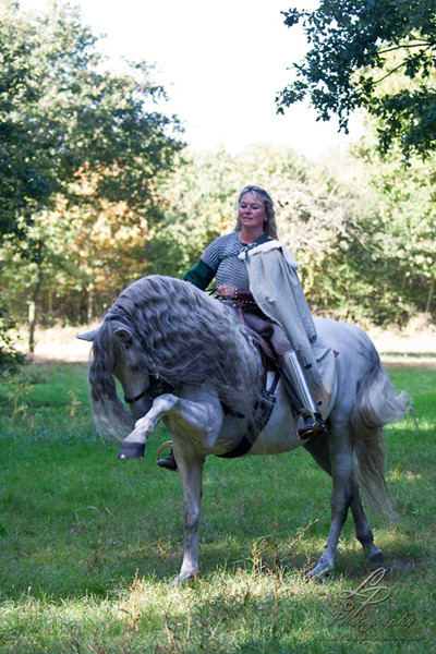 Spansicher Schritt - Astrid Engelbart" Pferdefotografie - Pferdemuseum Verden 09/2014 Leitung & Fotografie Linda Peinemann