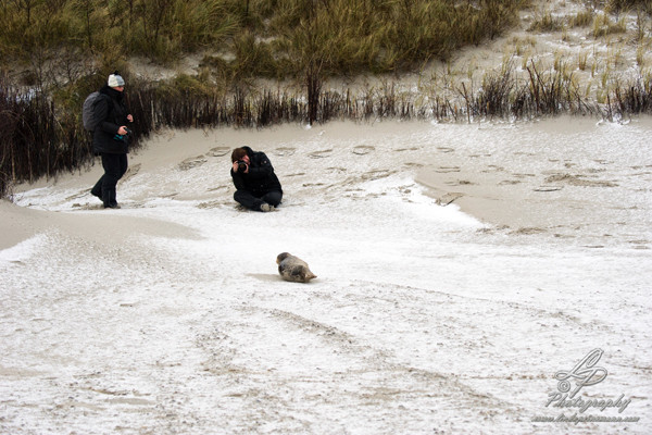 Fotoreise Helgoland - Januar 2015 / Foto: Linda Peinemann