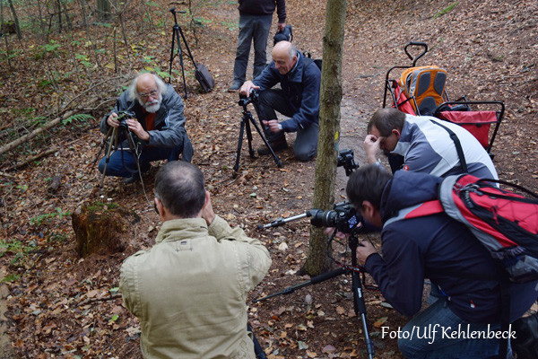 VHS Landschaftsfotografie - Herbst 2014 Foto/Ulf Kehlenbeck