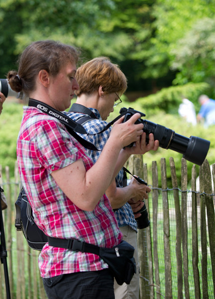 VHS Workshop "Tierfotografie für Fortgeschrittene" 12.07.2014  - Leitung Linda Peinemann