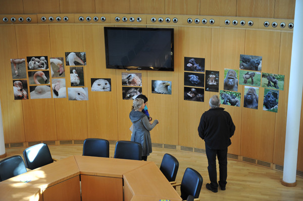 VHS Twistringen -Landschaftsfotografie 2012 - Ausstellung im Rathaus