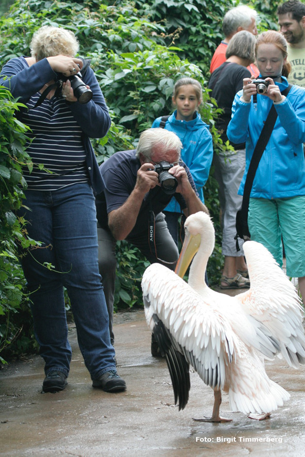 VHS Foto Workshop - Hannover Zoo - 26.07.2014. Leitung Linda Peinemann