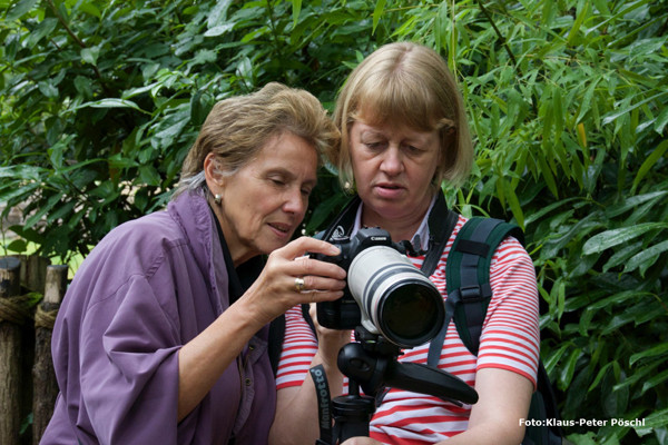 VHS Foto Workshop - Hannover Zoo - 26.07.2014. Leitung Linda Peinemann