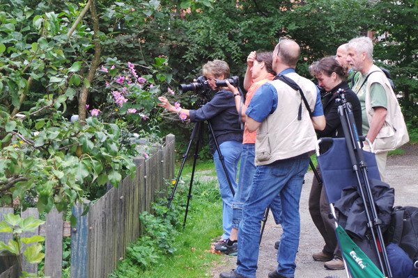 Workshop Museumsdorf Cloppenburg" 09.08.2014 Leitung Linda Peinemann