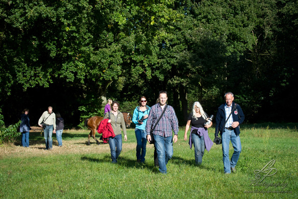 Pferdefotografie - Pferdemuseum Verden September 2014 - Leitung und Fotografie Linda Peinemann