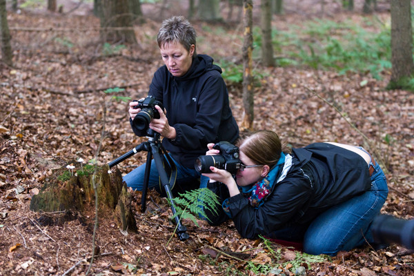 VHS Twistringen Landschaftsfotografie Nov. 2014