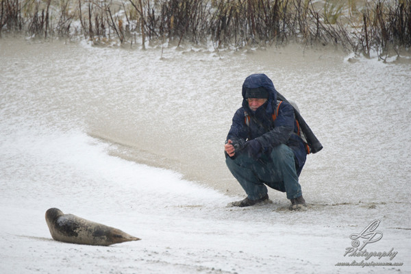 Fotoreise Helgoland - Januar 2015 / Foto: Linda Peinemann