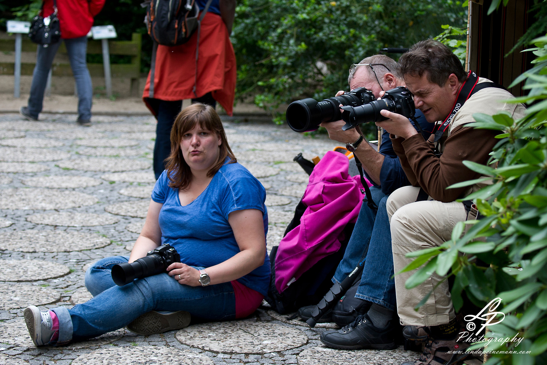 VHS Twistringen Workshop / Vogelpark Walsrode Juni 2014 - Mann! Der ist wieder weg!