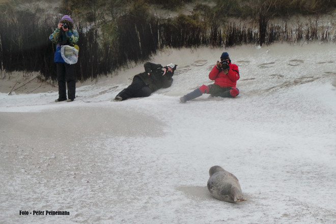 Fotoreise Helgoland - Januar 2015 / Foto: Peter Peinemann