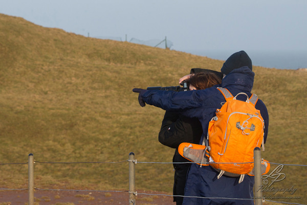 Fotoreise Helgoland - Januar 2015 / Foto: Linda Peinemann