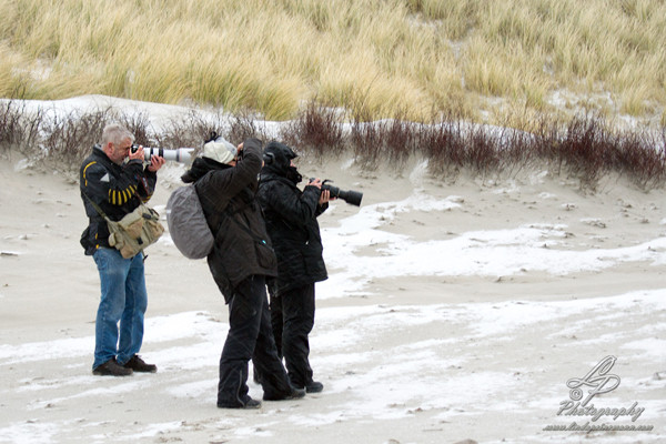 Fotoreise Helgoland - Januar 2015 / Foto: Linda Peinemann