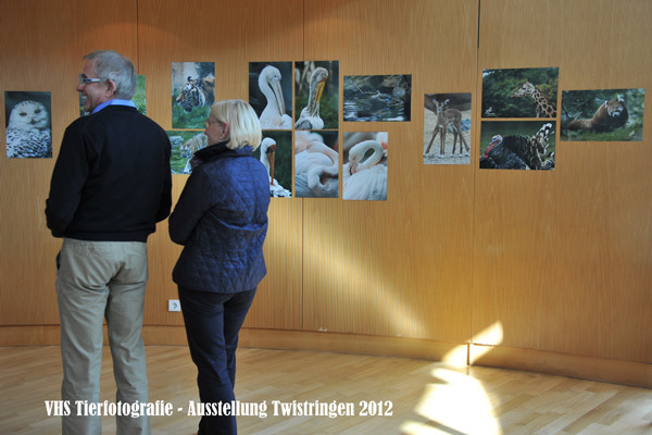 VHS Twistringen - Tierfotografie - Hannover Zoo 2012 - Fotoausstellung im Rathhaus