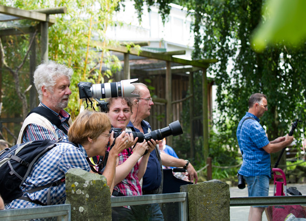 VHS Workshop "Tierfotografie für Fortgeschrittene" 12.07.2014  - Leitung Linda Peinemann